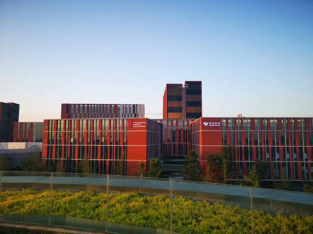 黄浦区纸浆模塑安装厂家